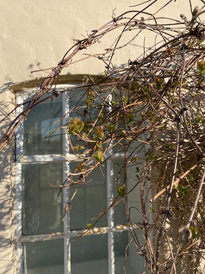 Feriehus I Skon Natur Stenstrup 외부 사진