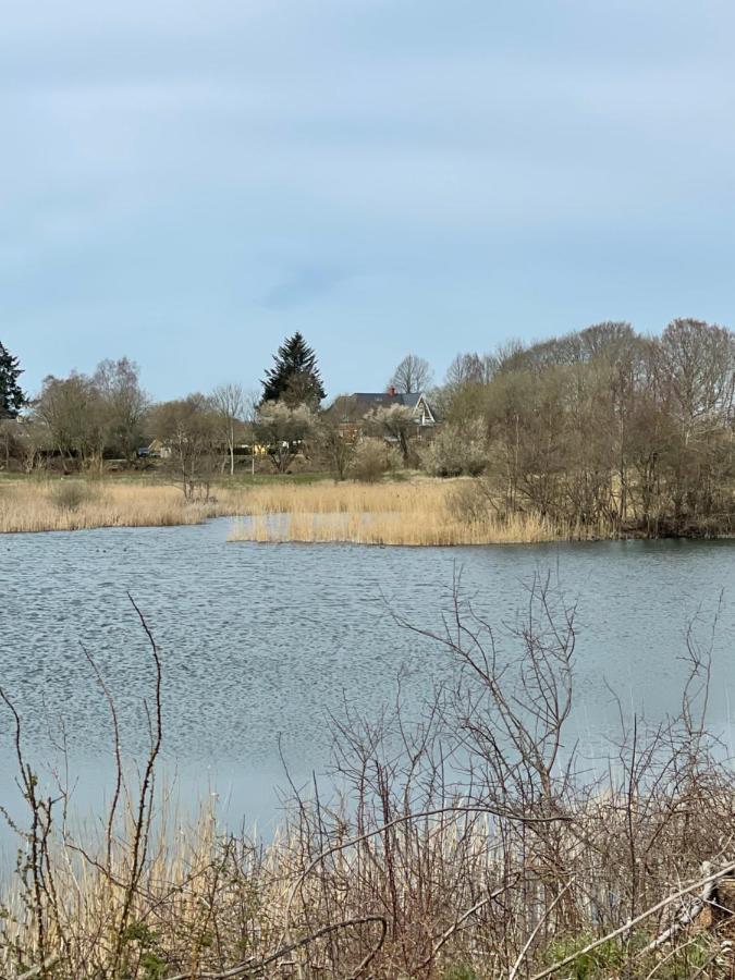 Feriehus I Skon Natur Stenstrup 외부 사진